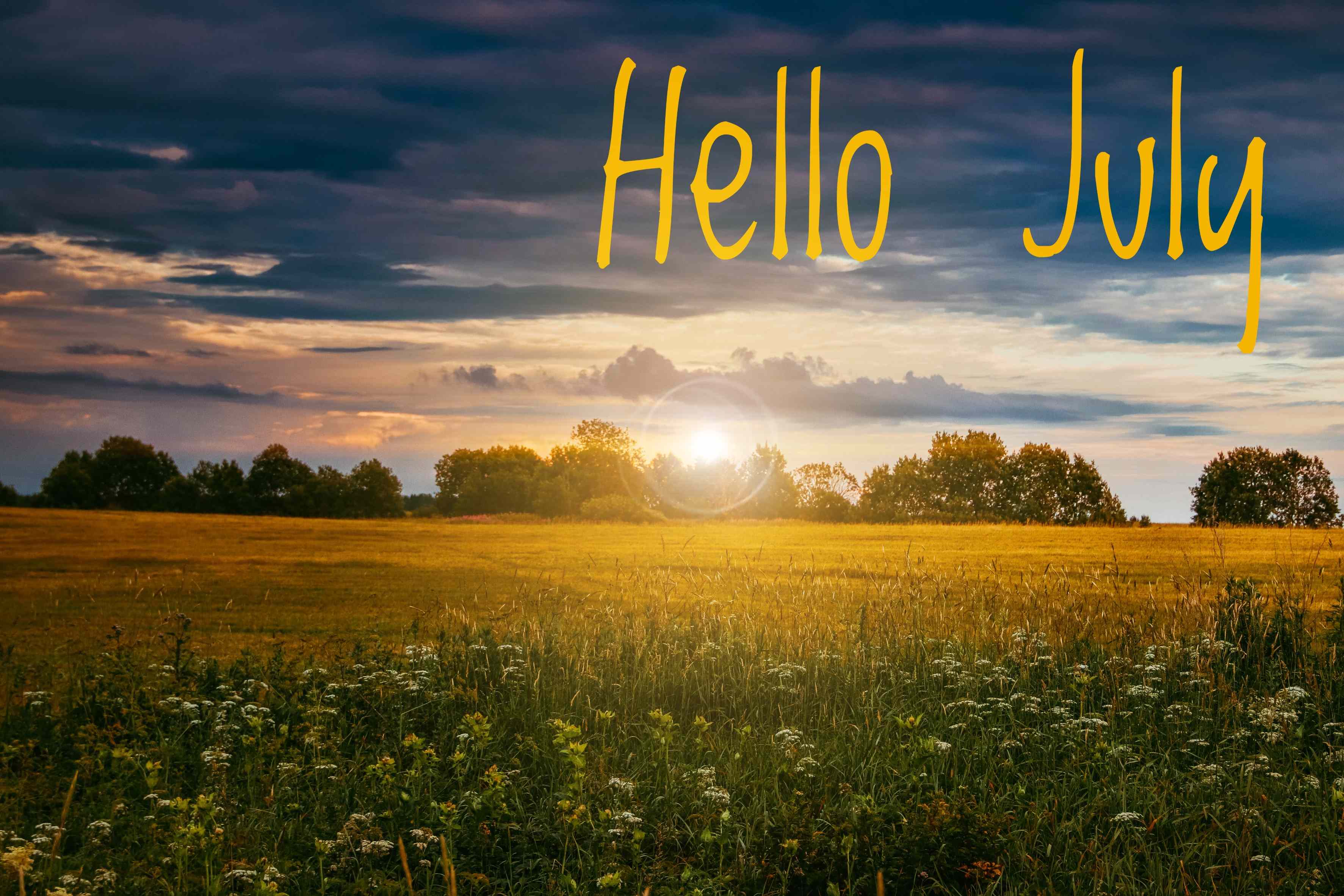 Hello July Images