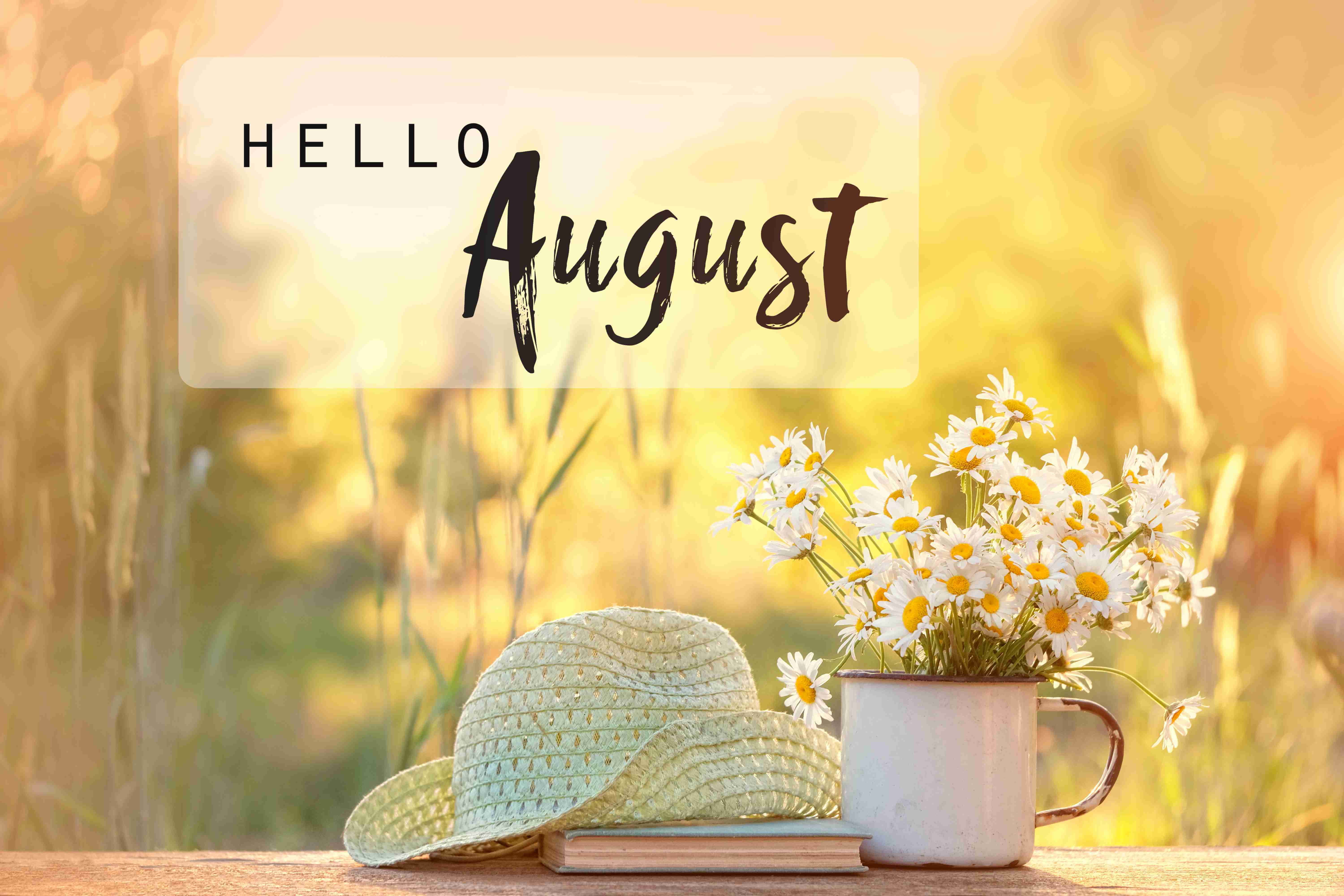 Картины hello. Хелло август. Hello август картинки. Hello August обои. Hello August картинки красивые.