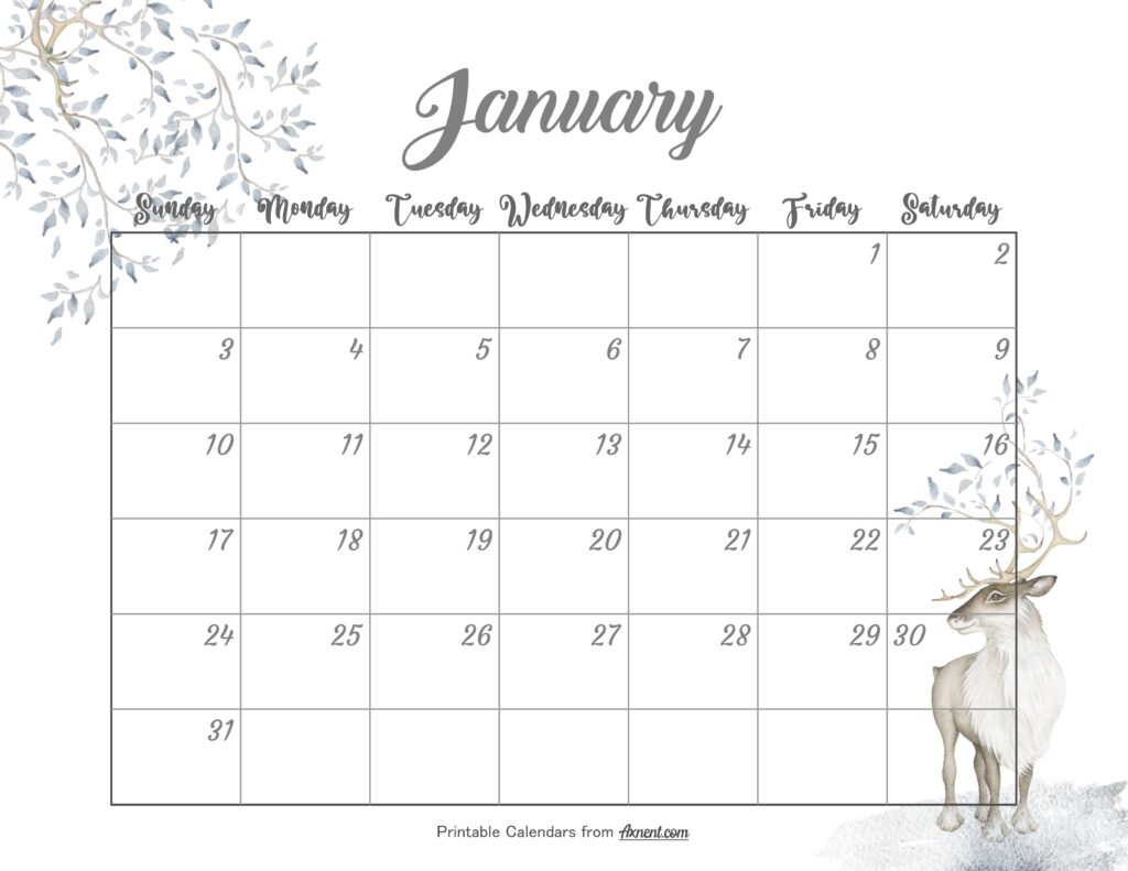Cute January Calendar 2027