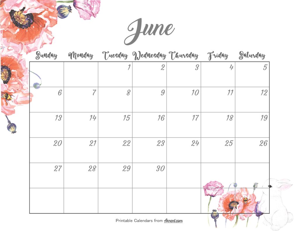 Cute June Calendar 2027